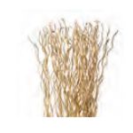 brosse-nettoyage-composition