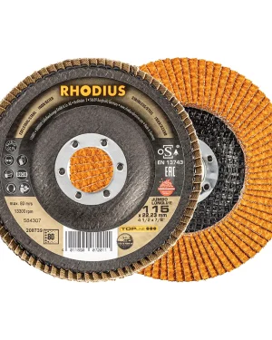 Disque à lamelles inclinées en zircon – 115mm – Grain 80 – 208739 (x10)