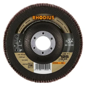 Disque à lamelles inclinées en zircon – 125mm – Grain 120 – 202756 (x10)