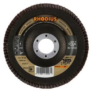 Disque à lamelles inclinées en zircon – 125mm – Grain 80 – 202749 (x10)