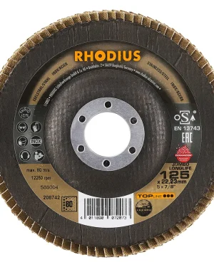 Disque à lamelles inclinées en zircon – 125mm – Grain 80 – 208742 (x10)