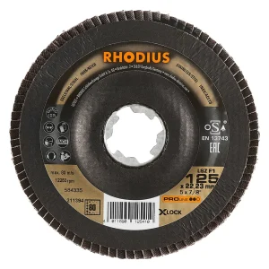 Disque à lamelles inclinées en zircon – 125mm – Grain 80 – 211394 (x10)