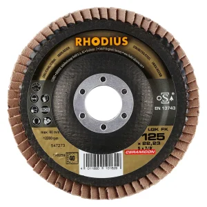 Disque à lamelles plates en céramique – D125 – G40 – 210259 (x10)