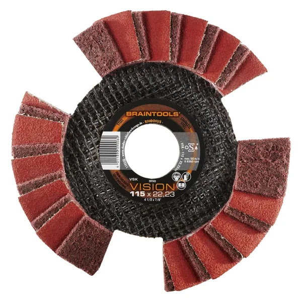 Disques à lamelles Vision