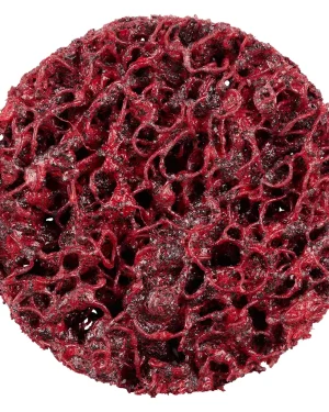 Disque à surfacer non tissé – 51mm – Grain céramique extra-gros – 305403 (x10)