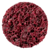 Disque à surfacer non tissé - D51 - Grain céramique extra-gros - 305403