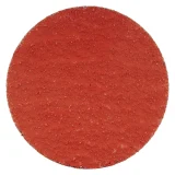 Disque abrasif Quick Change en ceramicon - 51mm - Grain 60 - 307017