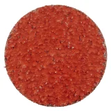 Disque abrasif Quick Change en ceramicon - D51 - G36 - 307016