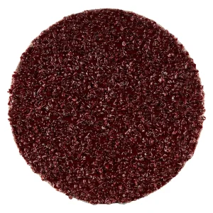 Disque abrasif Quick Change en corindon – D51 – G24 – 333042 (x50)