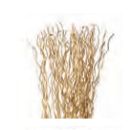 brosse-nettoyage-composition