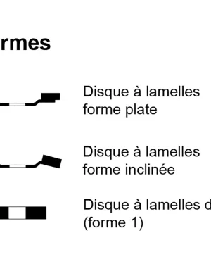 Disque à lamelles plates en zircon – D115 – G60 – 211447 (x10)