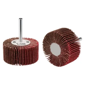 Roue à lamelles en céramique – D60 – 30mm – G120 – 353313 (x10)