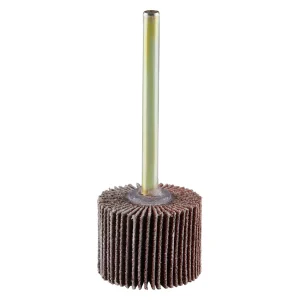 Roue à lamelles en corindon – D20 – 15mm – G120 – 305112 (x10)