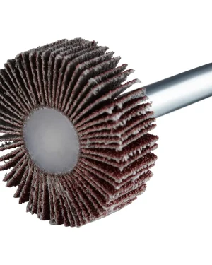 Roue à lamelles en corindon – D30 – 10mm – G80 – 305115 (x10)