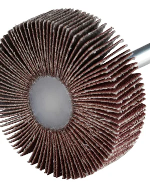 Roue à lamelles en corindon – D50 – 15mm – G150 – 305136 (x10)